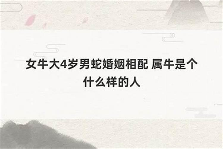 女人梦到牛攻击人预示着什么是吉还是凶？