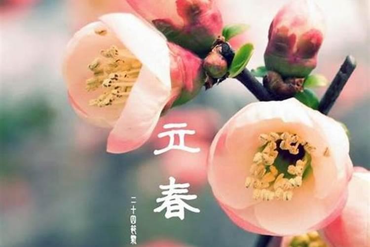 躲春能睡觉吗？