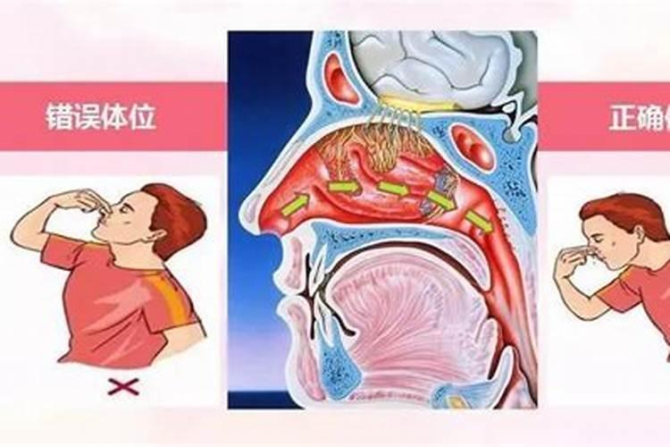 福建省冬至吃什么？汤圆还是饺子？