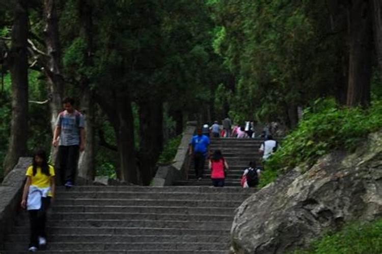 童子爬泰山后什么反应,泰山童子爬泰山会怎样