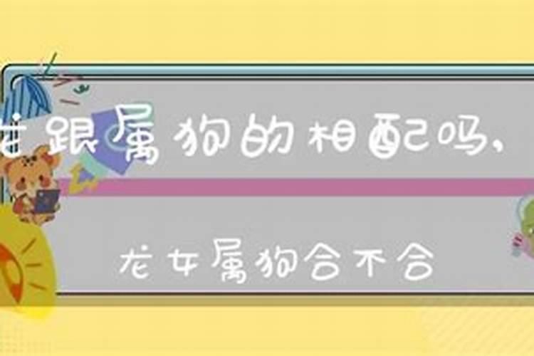 龙和狗结婚能过到老吗 属狗和属龙的婚姻怎么样？
