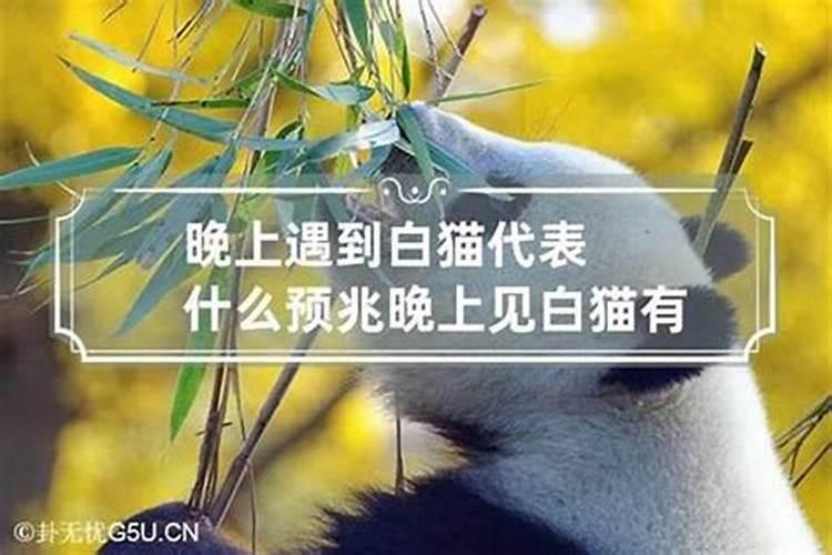 母亲为堕胎婴灵超度,供奉地藏菩萨,母亲名字刻在菩萨底座下面,会损福报...