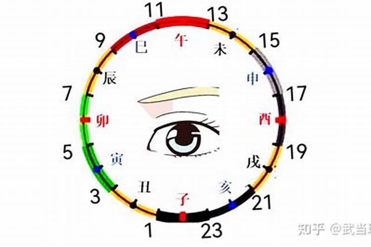 梦见很多海龟的预兆