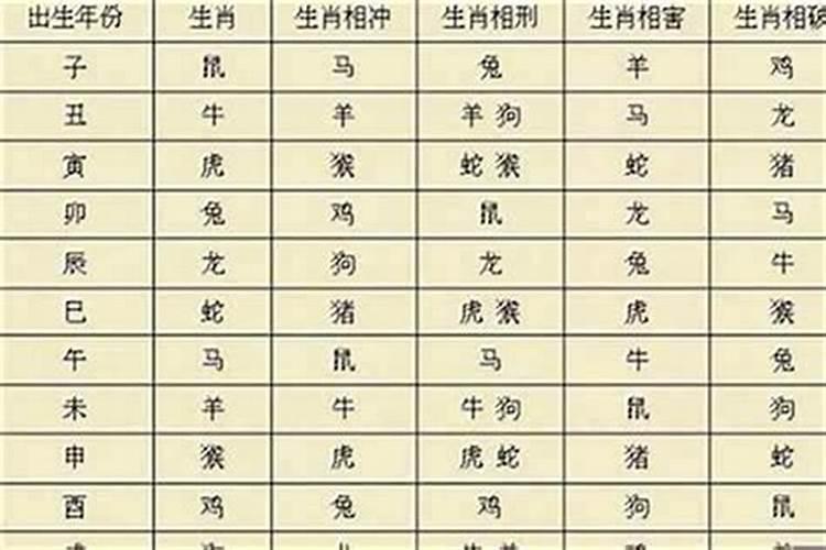 25岁属什么
