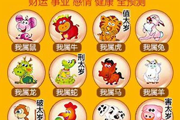 属相流年大运查询,十二生肖的流年运势运程生肖兔