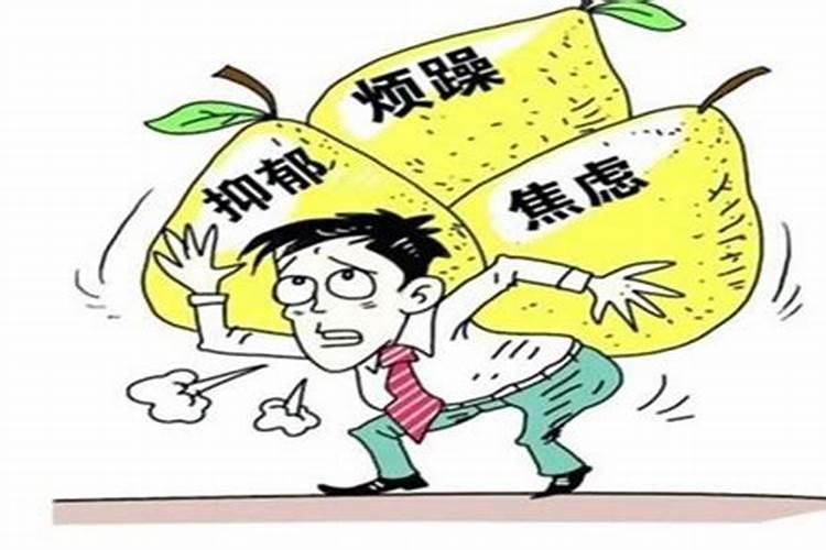 天赦日适合做什么