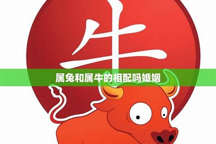 凶神恶煞生肖运势解析