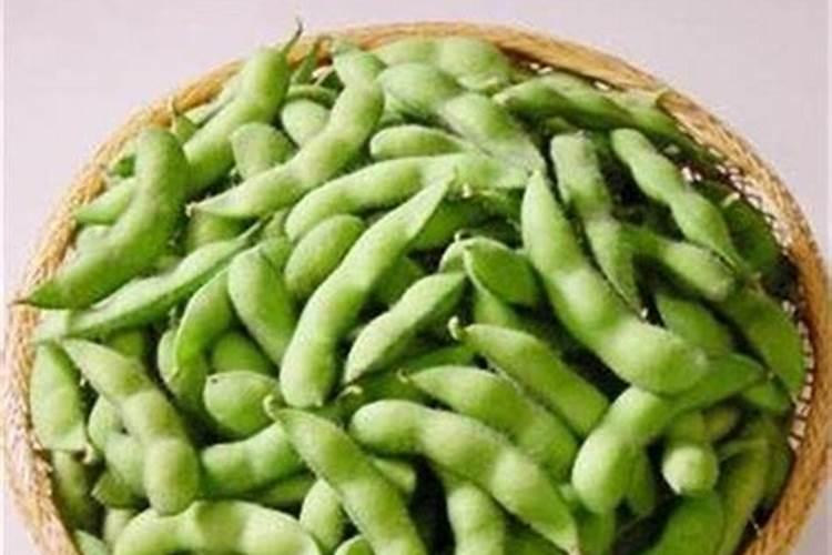 院子西边种什么树风水好