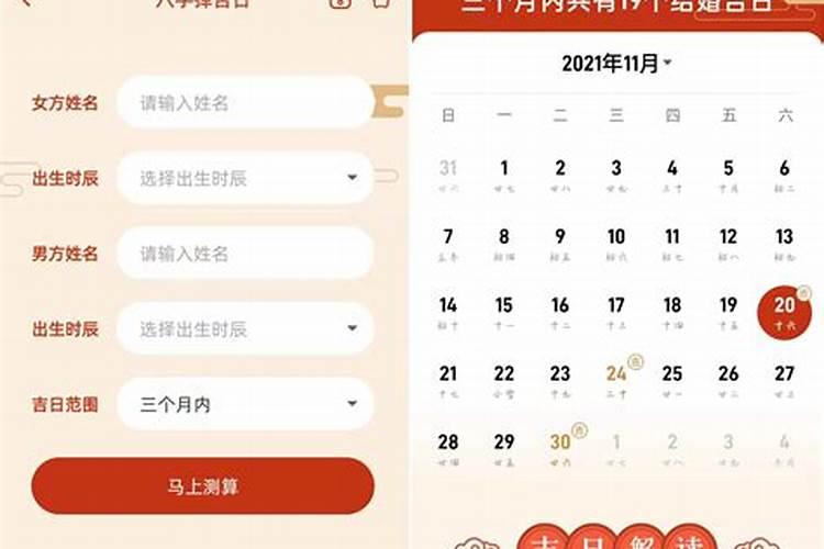 属鼠人在2025的运势如何