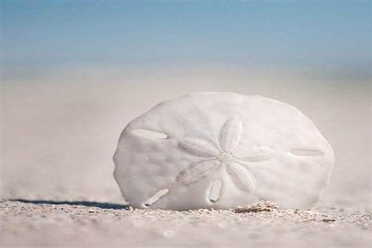 3土2木1火1金1水是什么命理,2024.5.15.17点出生的,赖姓女宝宝,帮起个...