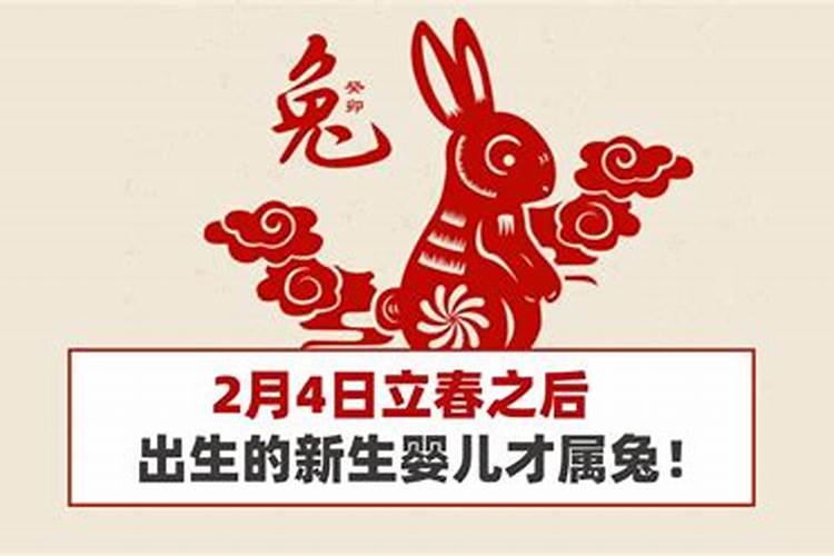 女人梦见兔子预示着什么