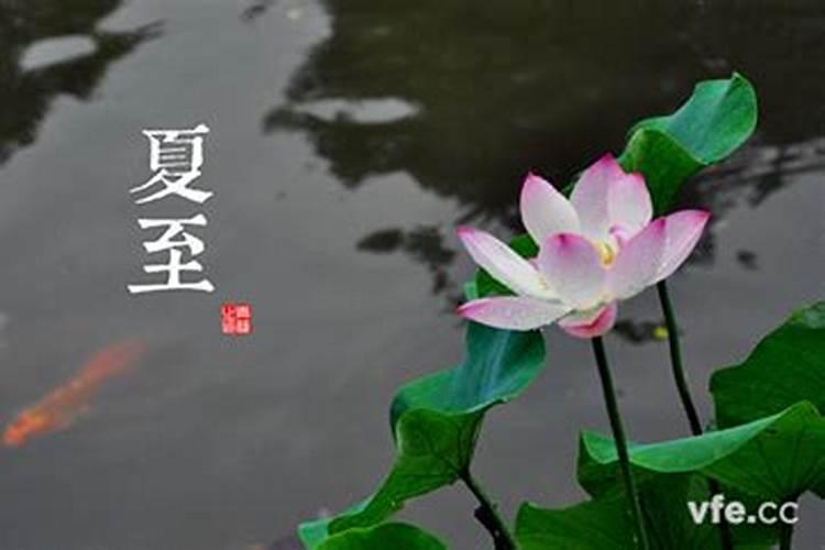 农历1990年3月15辰时出生的人五行属什么命？