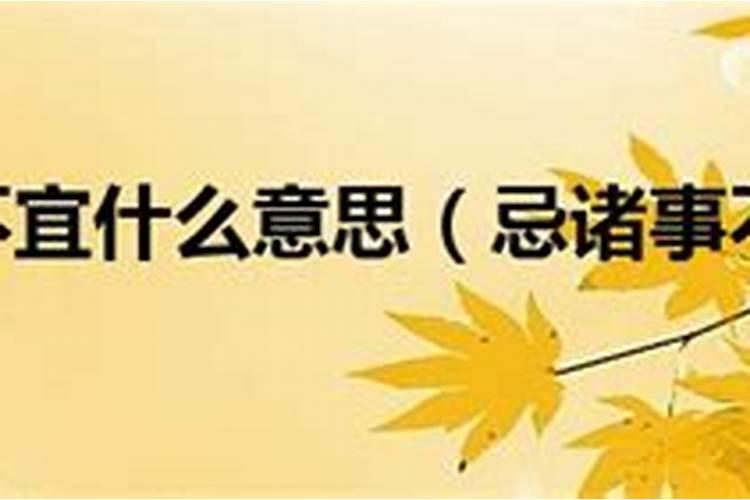 属马生于七月命运,属马阴历七月出生的命运