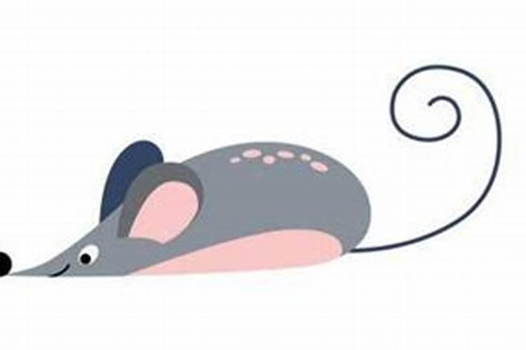 小人生肖是哪几肖