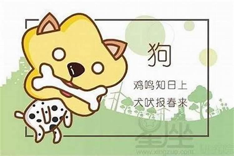 浙江冬天十大最佳去处