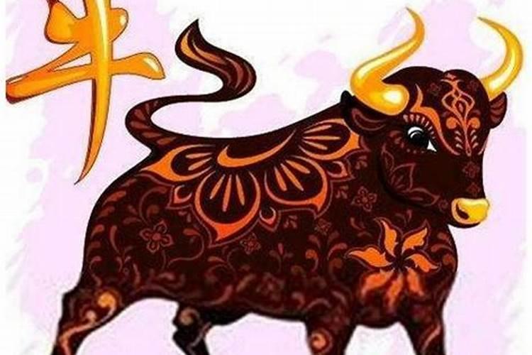 周公解梦梦见把死人哭活了,周公解梦梦见死人哭怎么回事