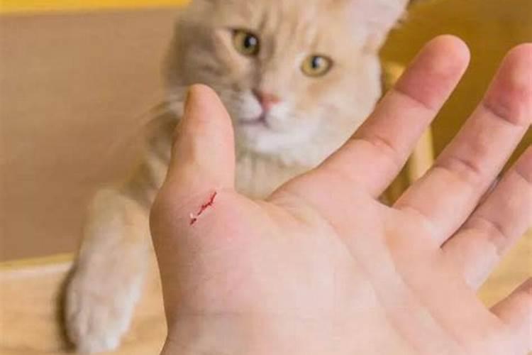 梦见死人在哭什么意思