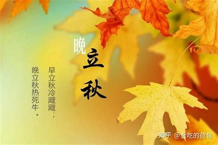 盲派看不看格局​旺衰？做功宾主体用详解