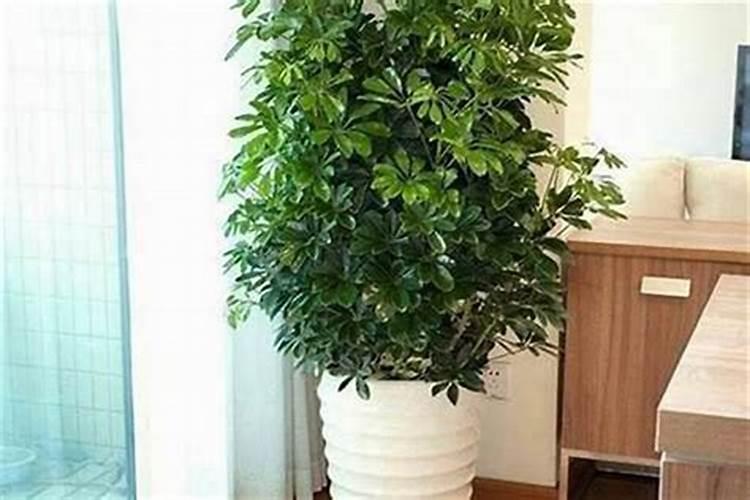 年柱和日柱合什么意思 日柱有什么说法？