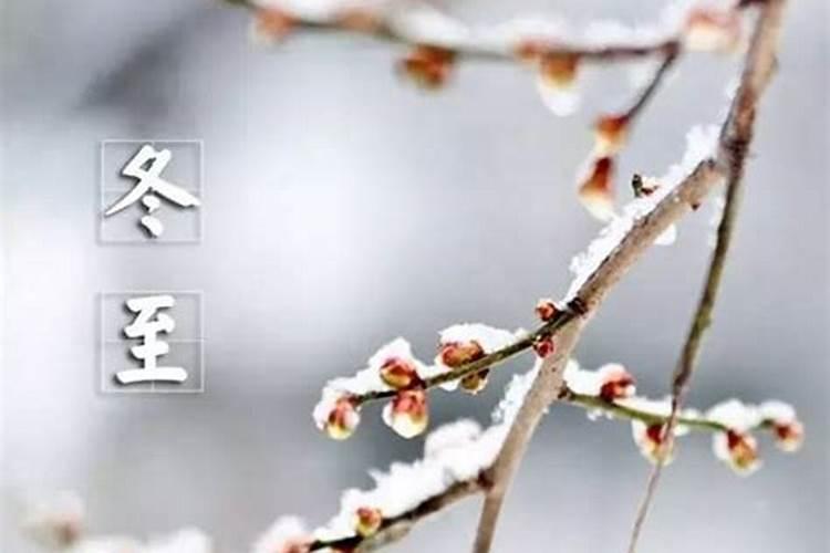女人离过婚,还有再婚的必要吗？