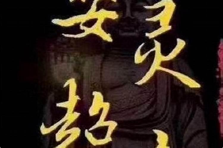 属羊女最佳婚配属相