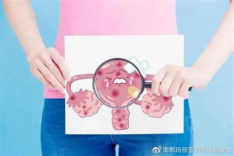 人灯神灯鬼灯分别是哪一天