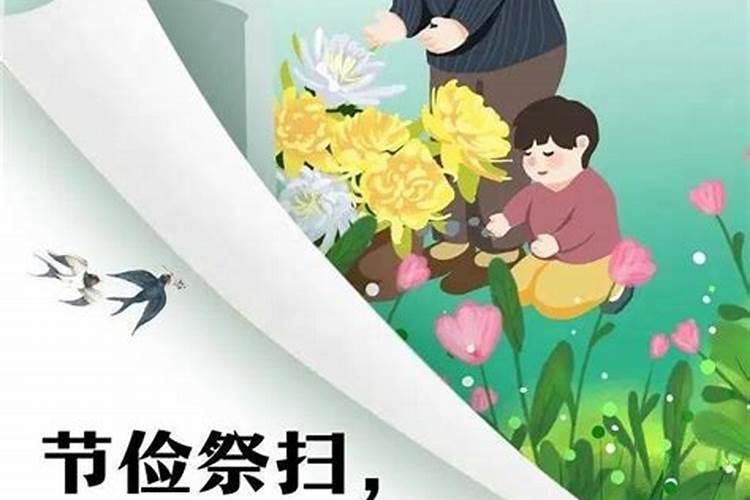 2025年属马人的全年每月运势