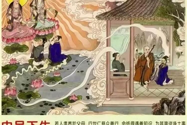 冬至吃什么传统食物 冬至习俗吃什么进补