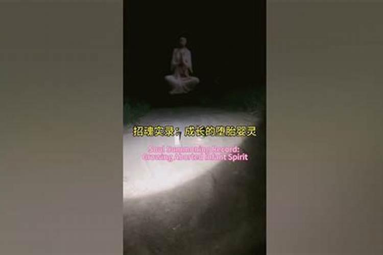 做梦梦见狗是什么意思周公解梦梦见狗的意思梦见狗的意思