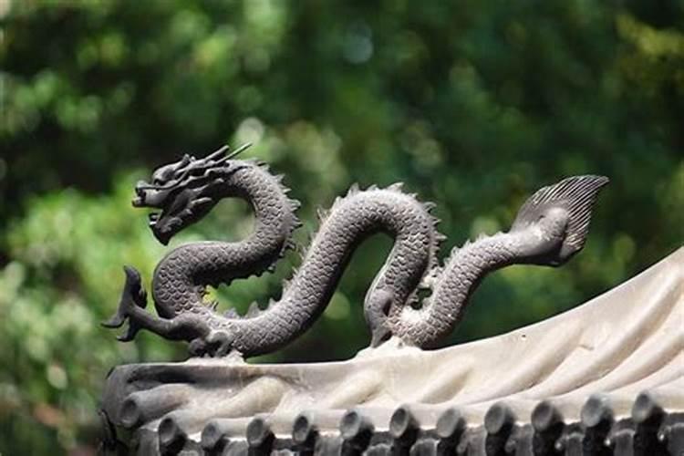 梦见龙入水中是什么预兆