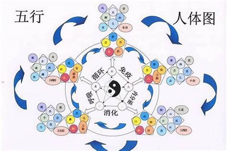 八字得地是什么意思？得气是什么意思？得势是什么意思？