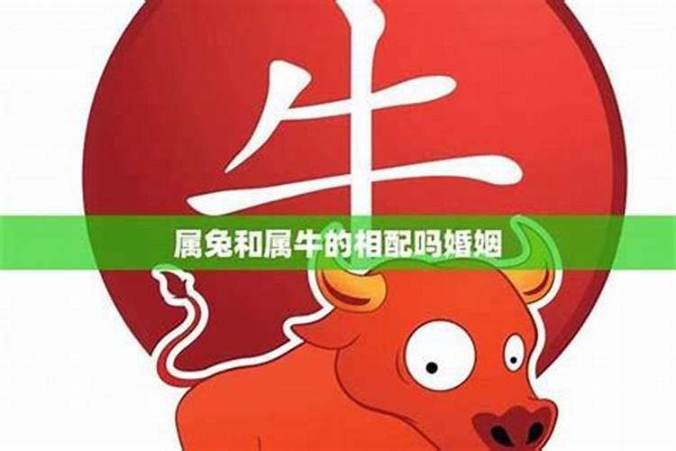 九月九日出生的人有啥特别吗 招四方之财？