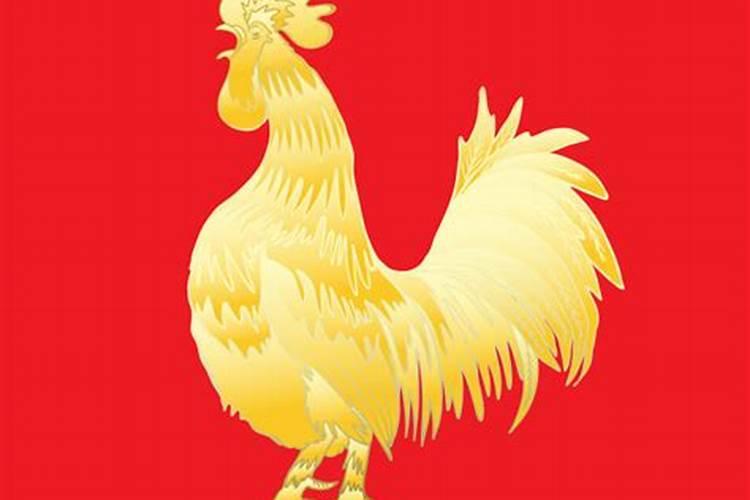 69年属鸡人50岁后运气如何