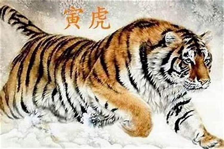 冬至的特点和风俗