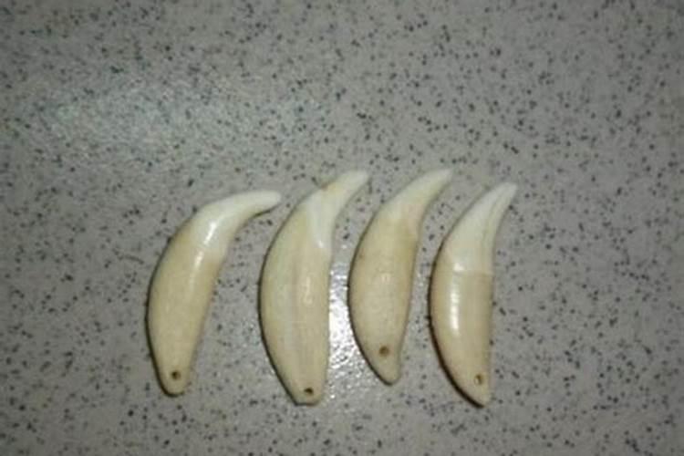 家中放置这些物件健康运势越来越好
