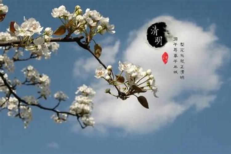 清明节出生有什么讲究