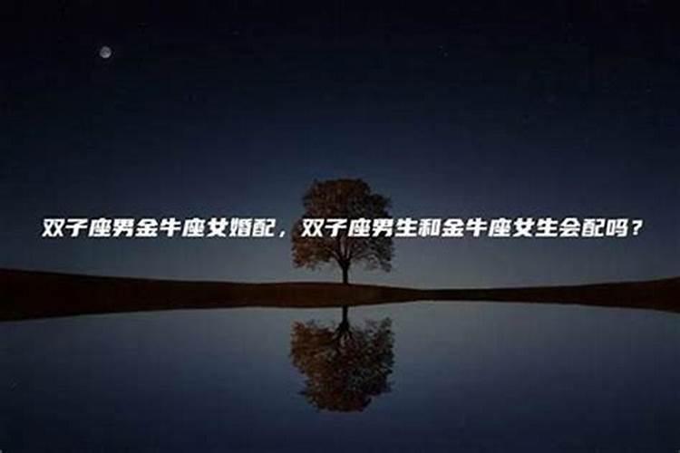 属虎本命年的大忌