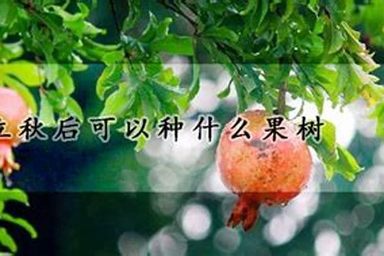 什么时候买车最合适？