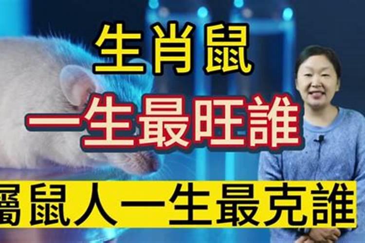 84年属鼠女在2025年每月运势