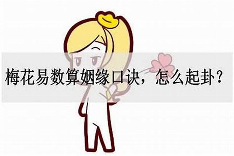 2026年属龙人的全年运势及运程