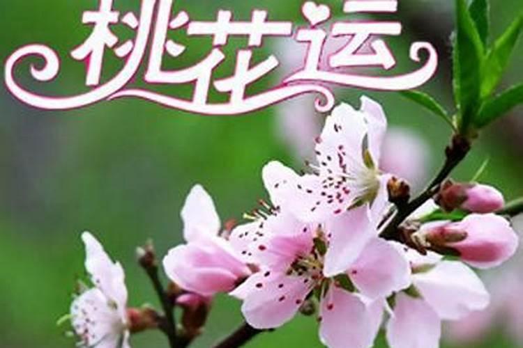 我属马的1990年十月初一的我今年运势
