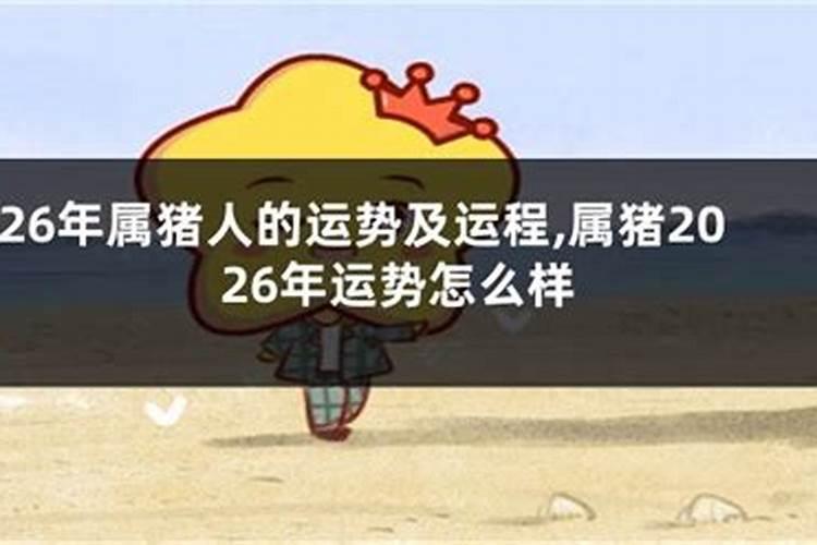 2025属猪的全年运势 2025年属猪人运势如何