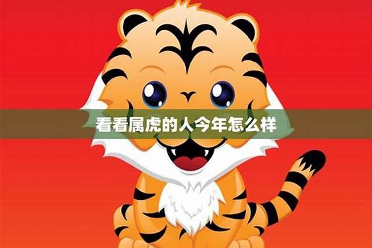 2025属虎人最旺的月份
