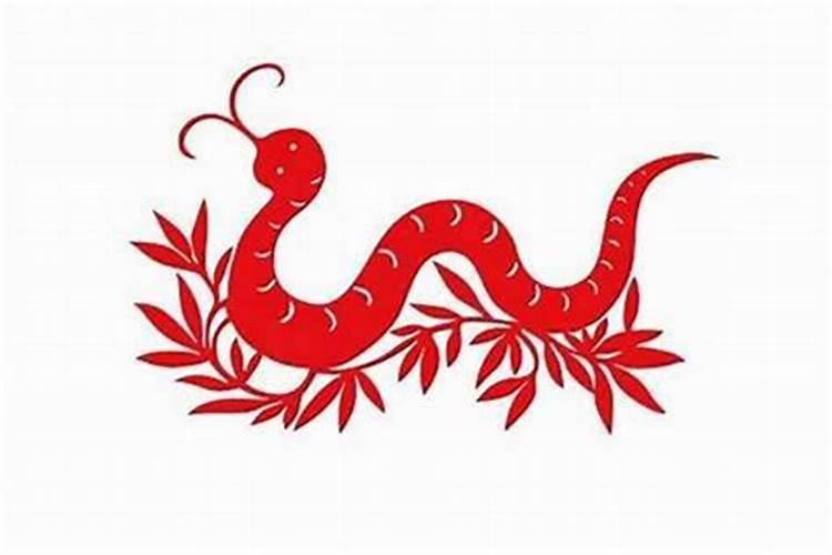 属兔的人2025年运势及运程每月运势如何