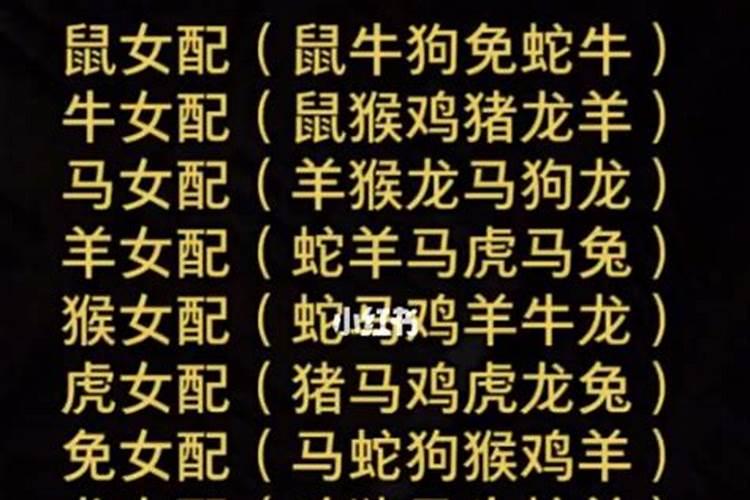 属鸡的今年50几岁