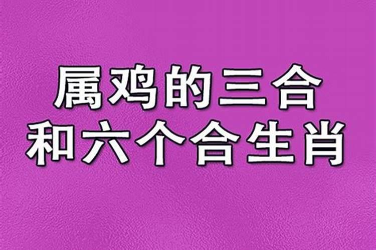 2024属鸡三合和三冲属相