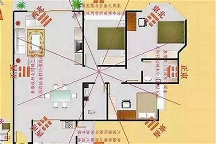 鱼缸风水讲究有哪些 鱼缸风水讲究的介绍