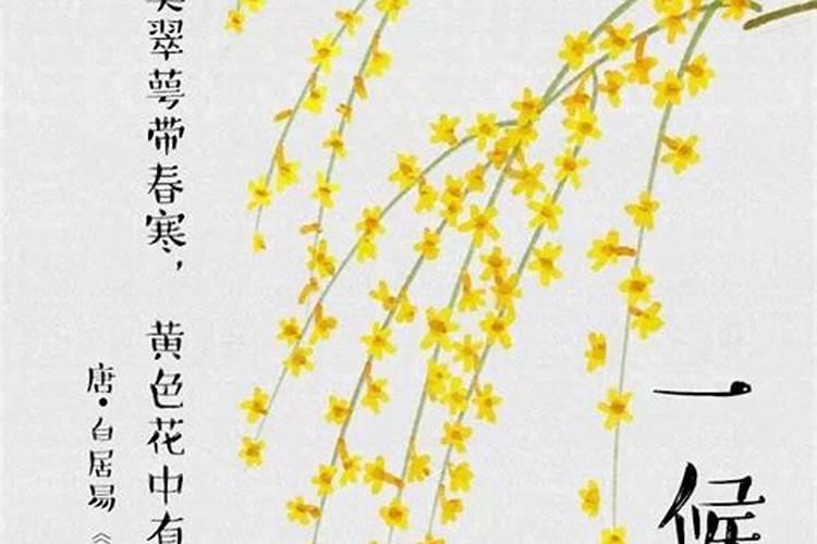 文墨天机是不是坑
