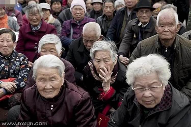 2025蛇年本命年的运势
