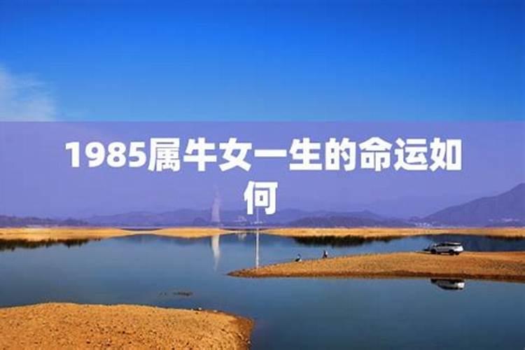 梦见老婆半夜和别的男人去吃饭